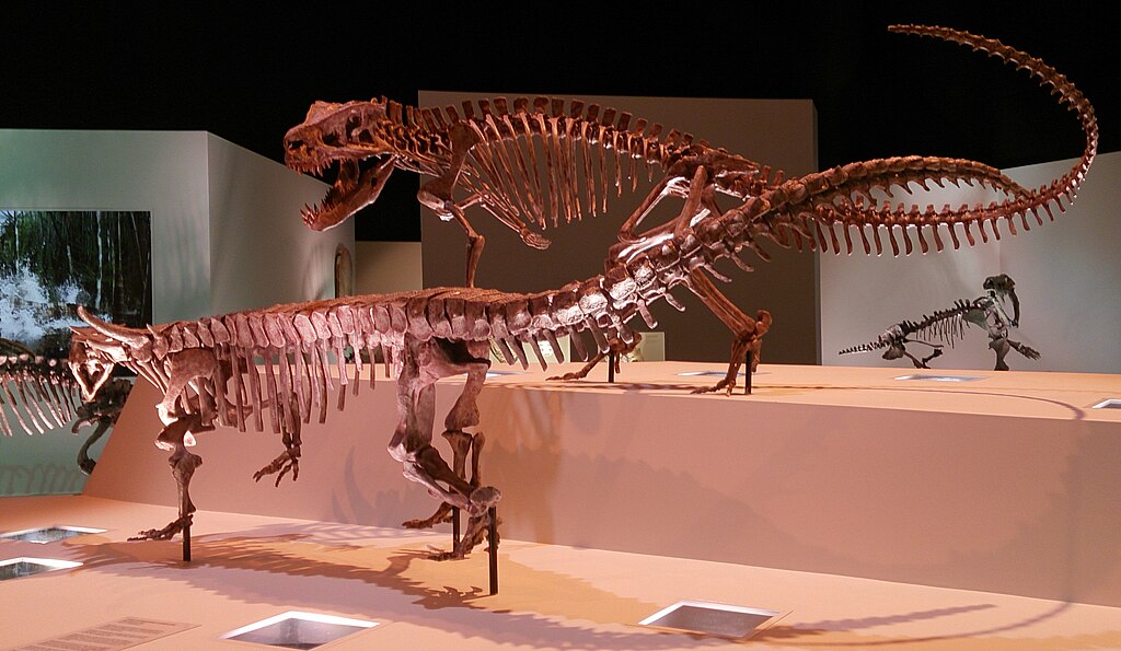 HMNS Paleo Hall Postosuchus and Desmatosuchus