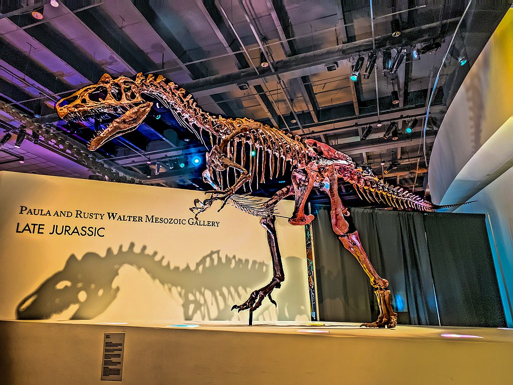 T-Rex skeleton at Houston Museum Natural Science