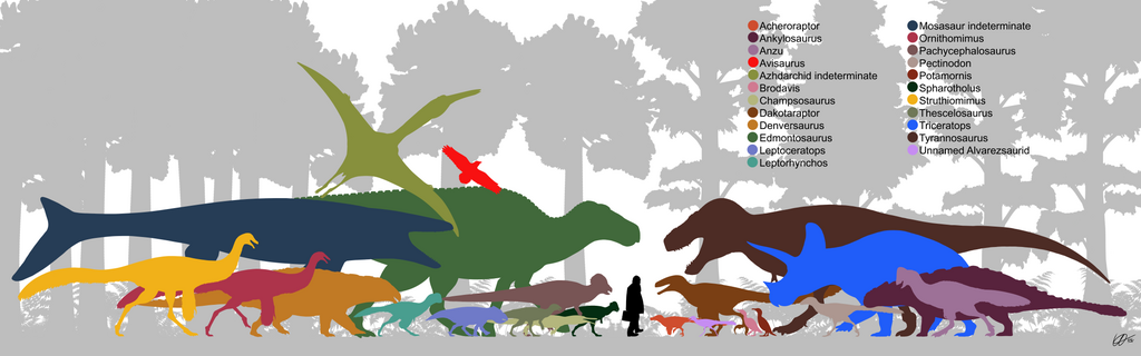 Diagram showing all the known Dinosauria from the Hell Creek Formation