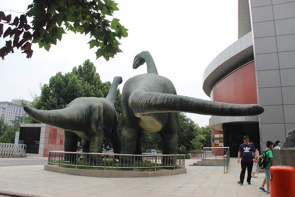 Henan Geological Museum - South Side of Sauropods