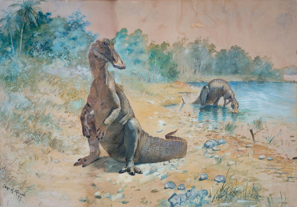 hadrosaurs