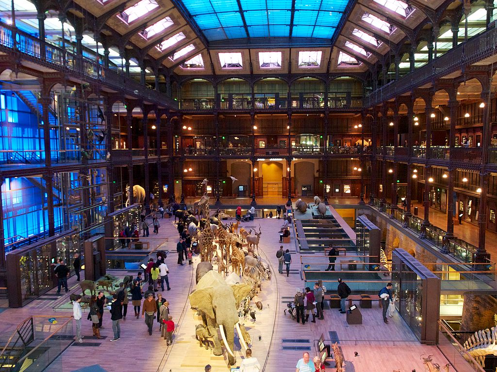 MNHN Galerie de l evolution