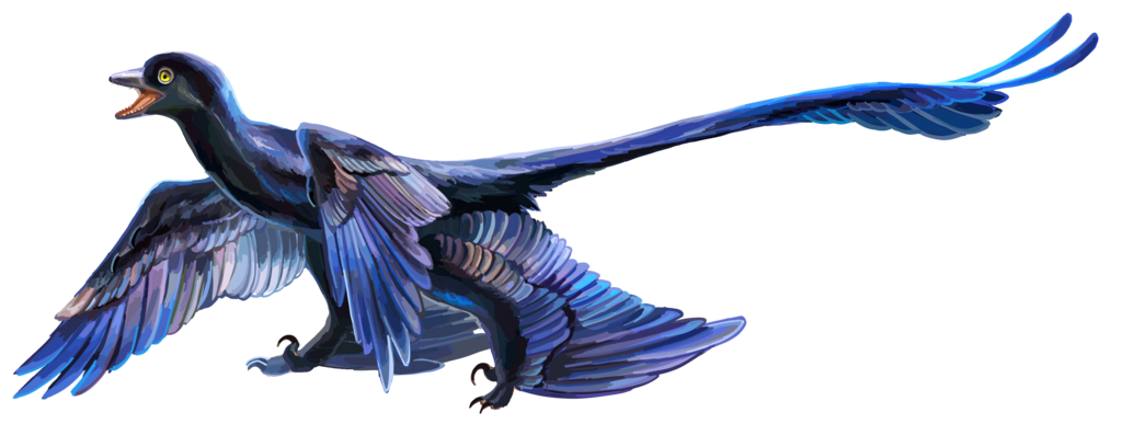 Artist's reconstruction of Microraptor zhaoianus