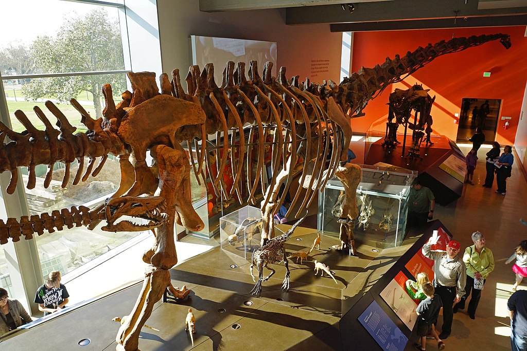 Large dinosaur skeleton on display in a museum with an orange wall and glass windows. Visitors, including children, explore excitedly around it.