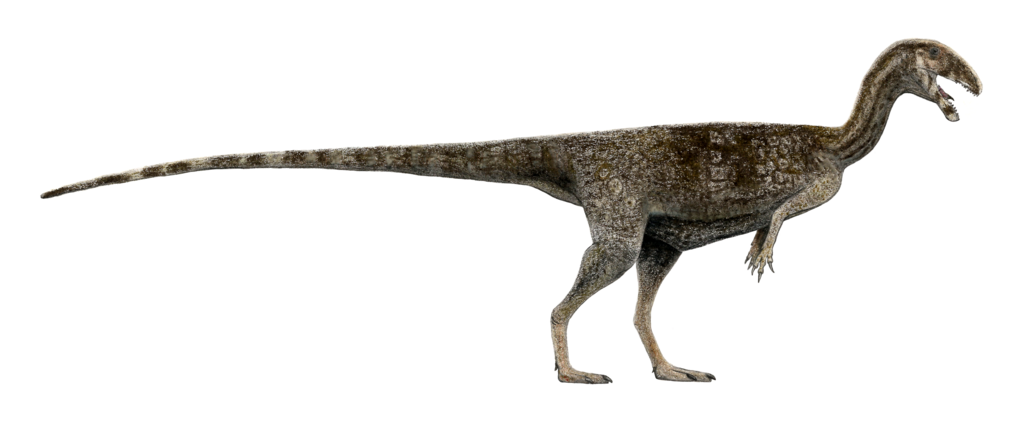 Side view of a detailed dinosaur model with a long tail and slender limbs. The texture suggests reptilian skin. The posture is alert and dynamic.