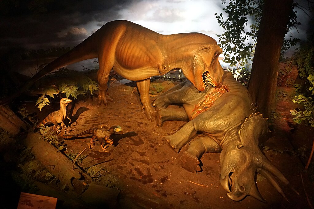 Tyrannosaurus rex, Dromaeosaurus, Triceratops, and Struthiomimus