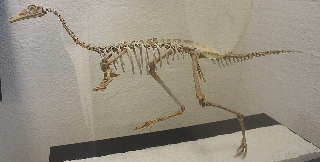 Mononykus