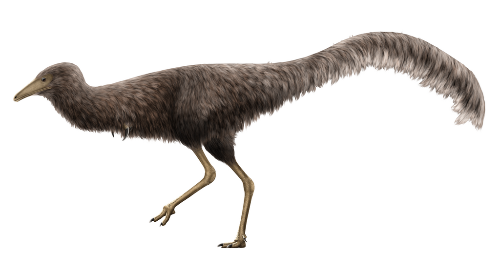 Mononykus Restoration