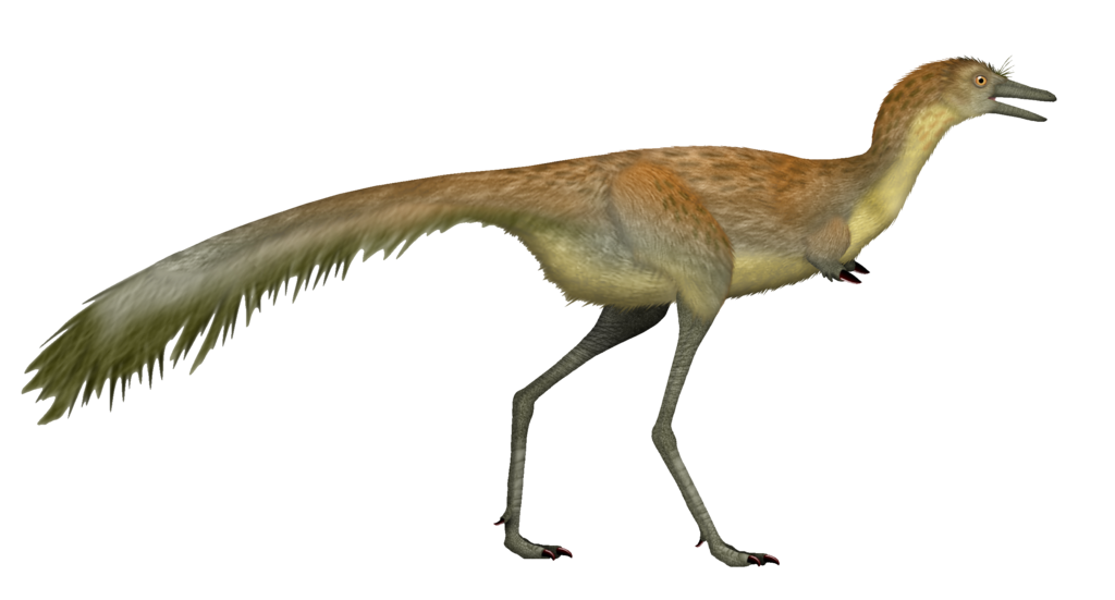 Mononykus