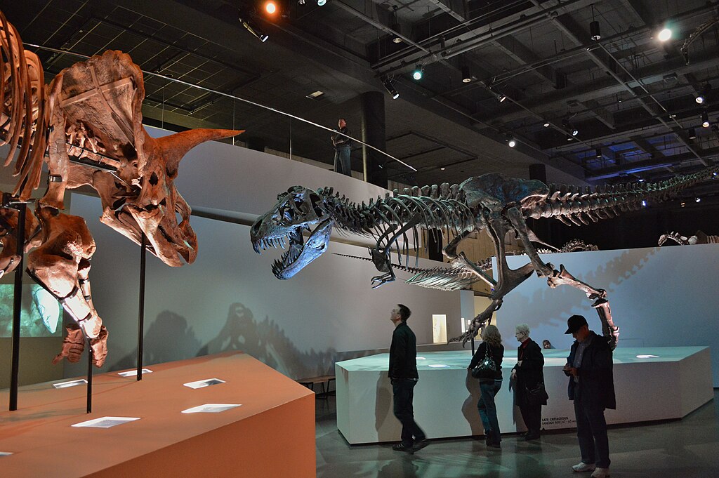 Morian Hall of Paleontology Tyrannosaurus and Triceratops