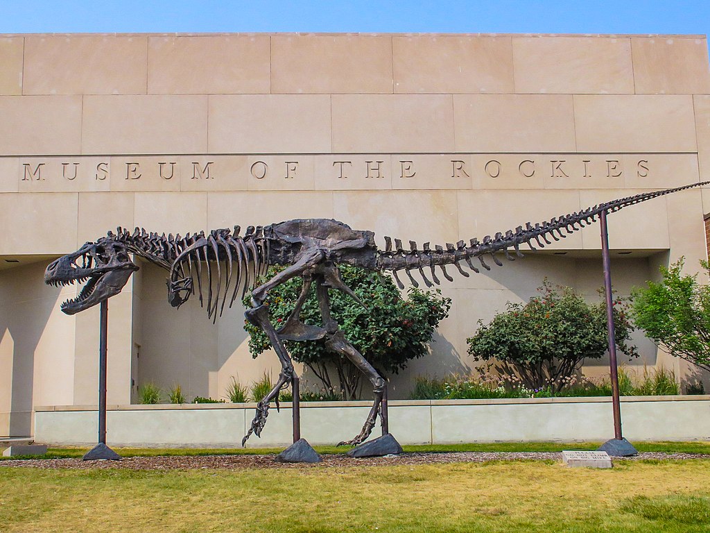 Museum Of The Rockies Montana