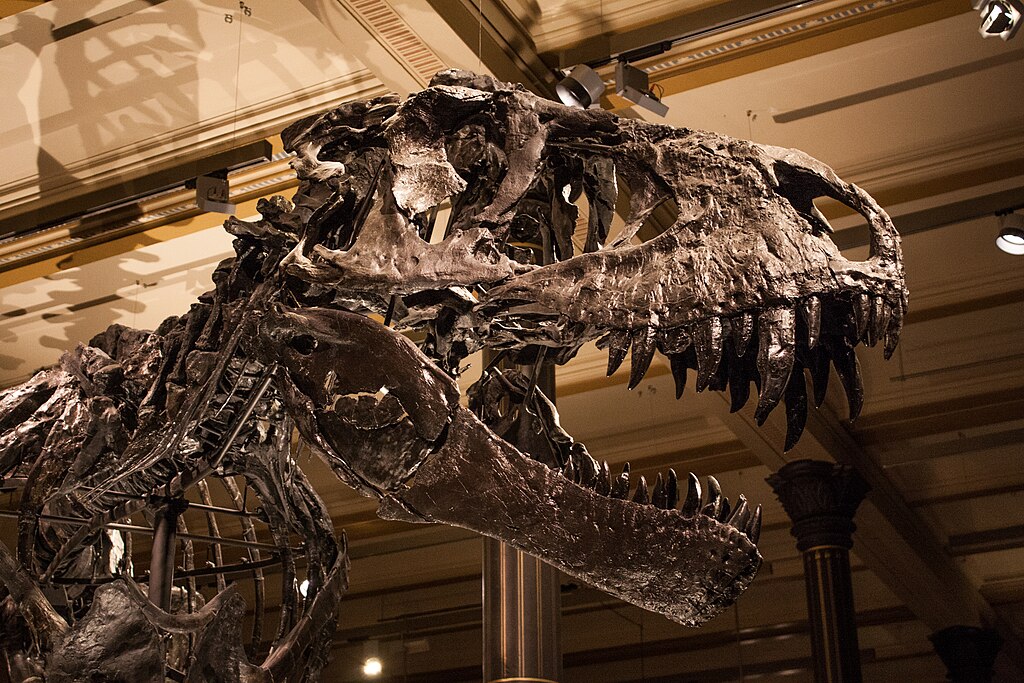 Museum für Naturkunde