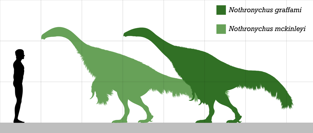 Nothronychus