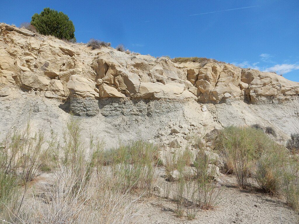 Ojo Alamo Formation in the Bisti wilderness, New Mexico, USA
