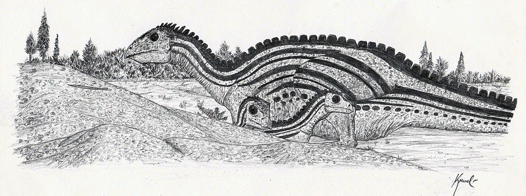 image of Oryctodromeus family on Wayan floodplains