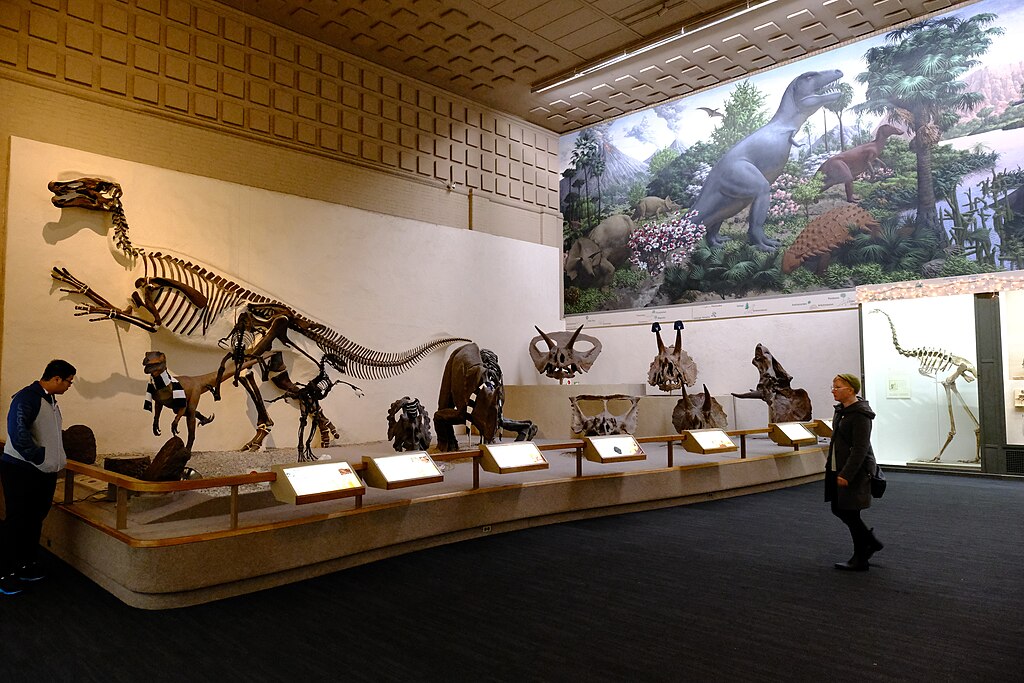 Peabody Museum of Natural History - Triceratops and Friends
