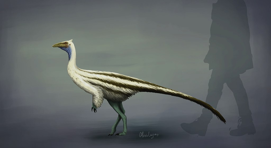 Pelecanimimus