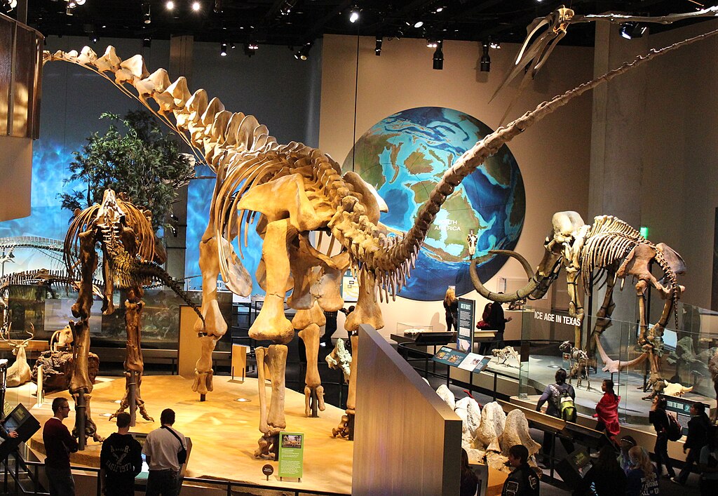 Perot Museum Alamosaurus