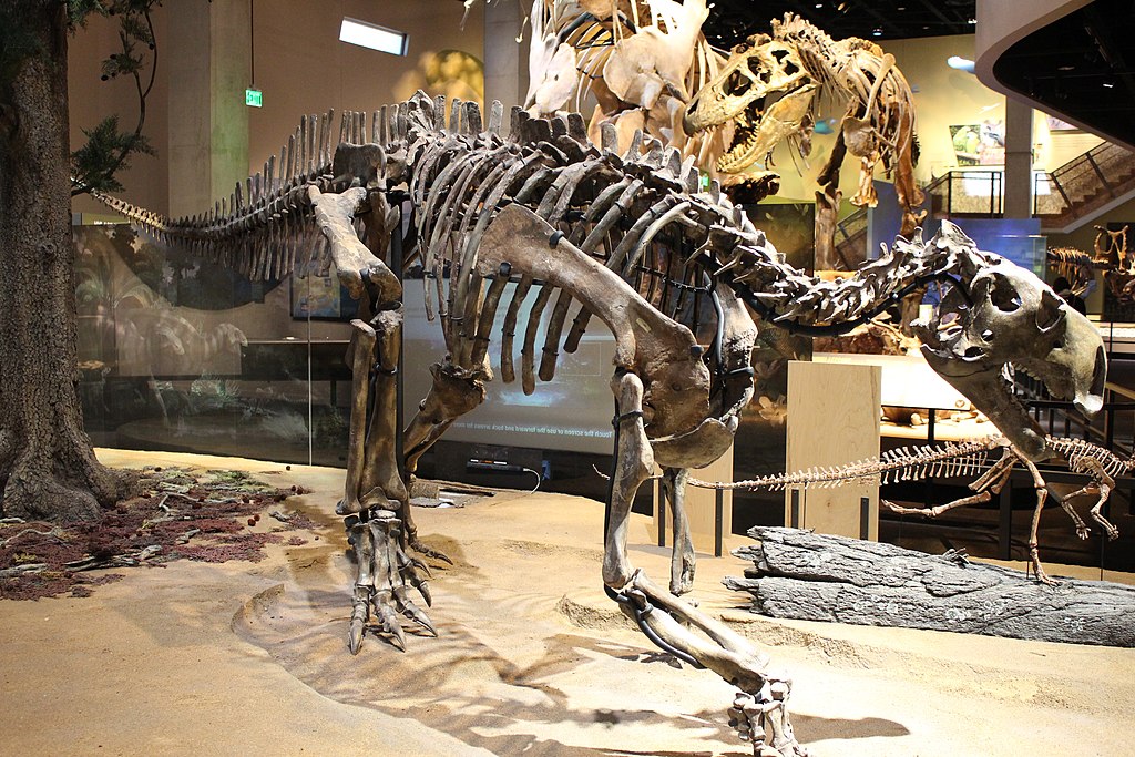 Perot Museum Tenontosaurus.