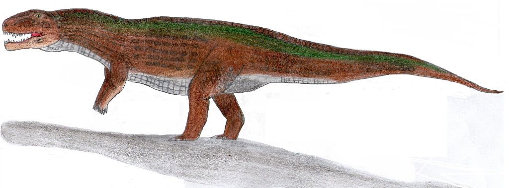 Postosuchus