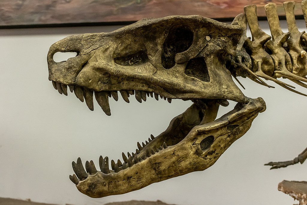 Postosuchus