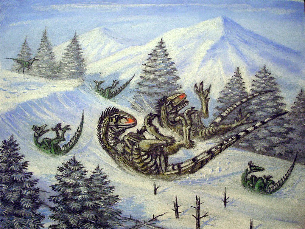 Raptor Red snow