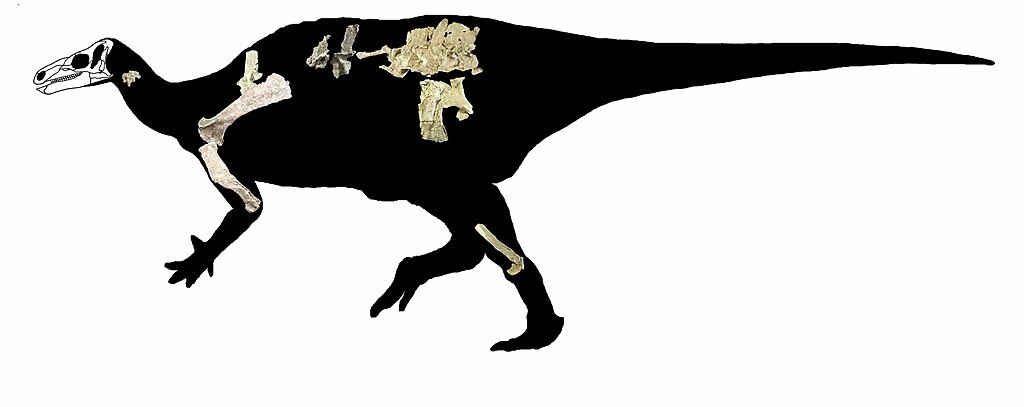 Reconstruction of Hippodraco