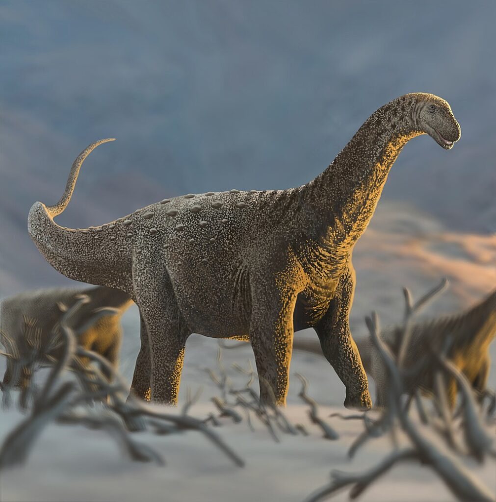 Rocasaurus muniozi