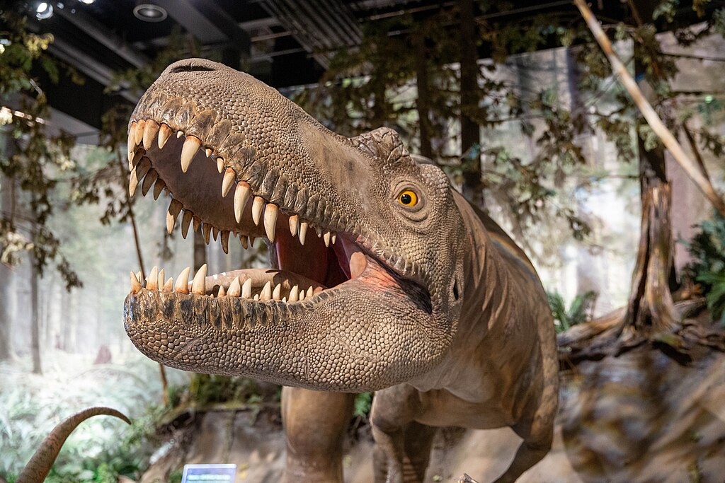 Royal Tyrrell Museum