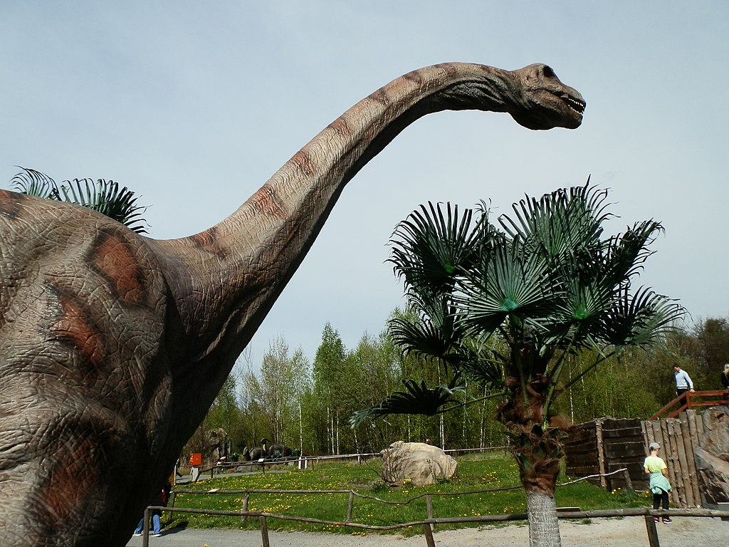 Sauropod