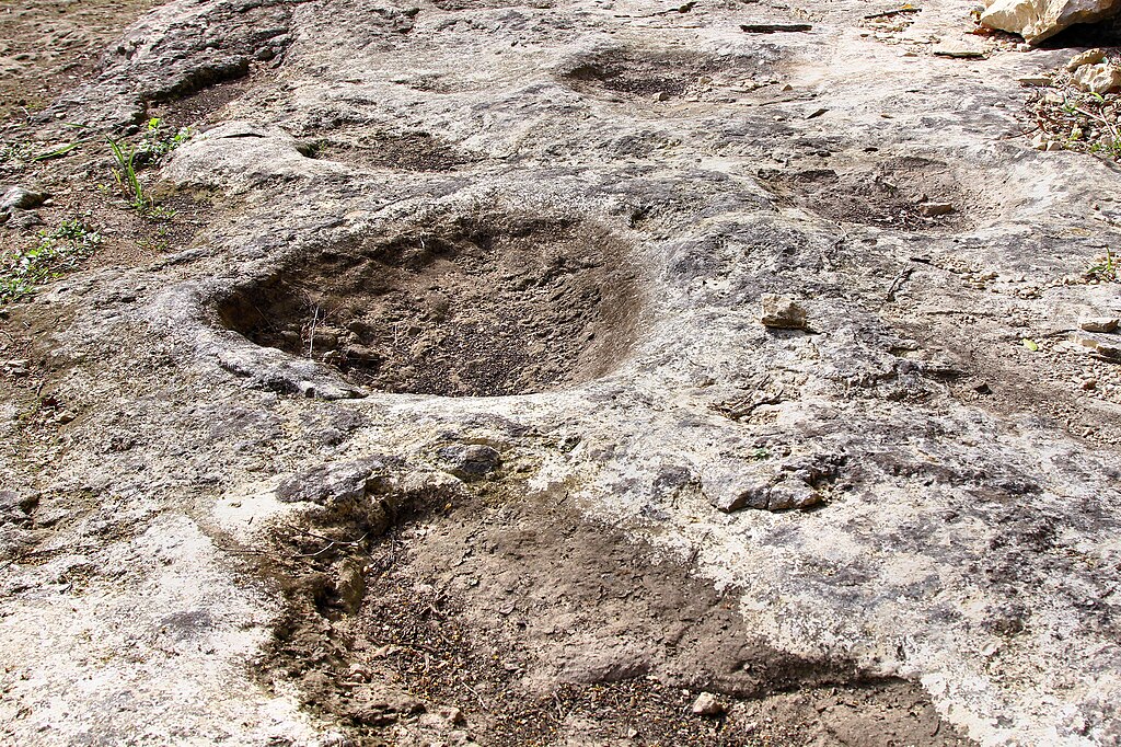 Sauropod Trackway Govt Canyon SNA Texas