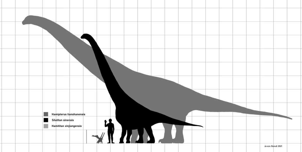 Shengjinkou Formation Fossil Fauna