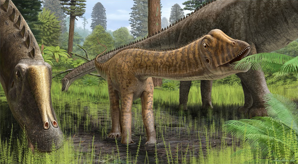 Smallest Diplodocid