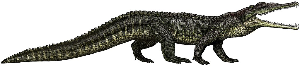 Smilosuchus adamanensis