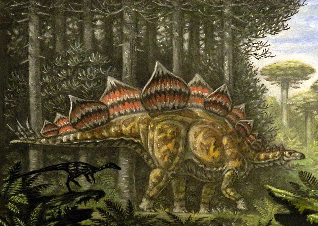 Stegosaurus and Coelurus