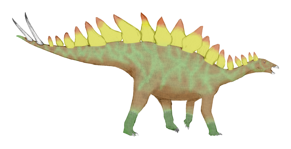 Stegosaurus ungulatus colored final