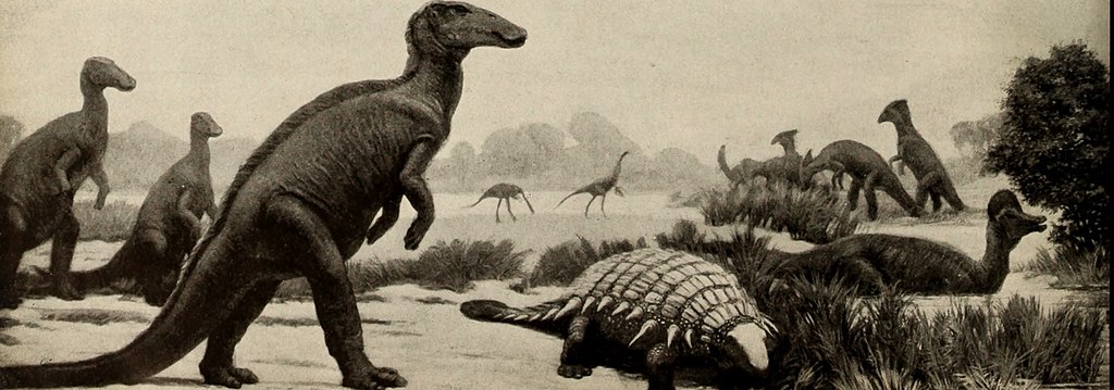 The dinosaur book - the ruling reptiles and their relatives (1951)