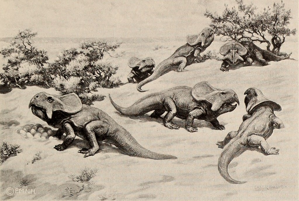 The dinosaur book : the ruling reptiles and their relatives