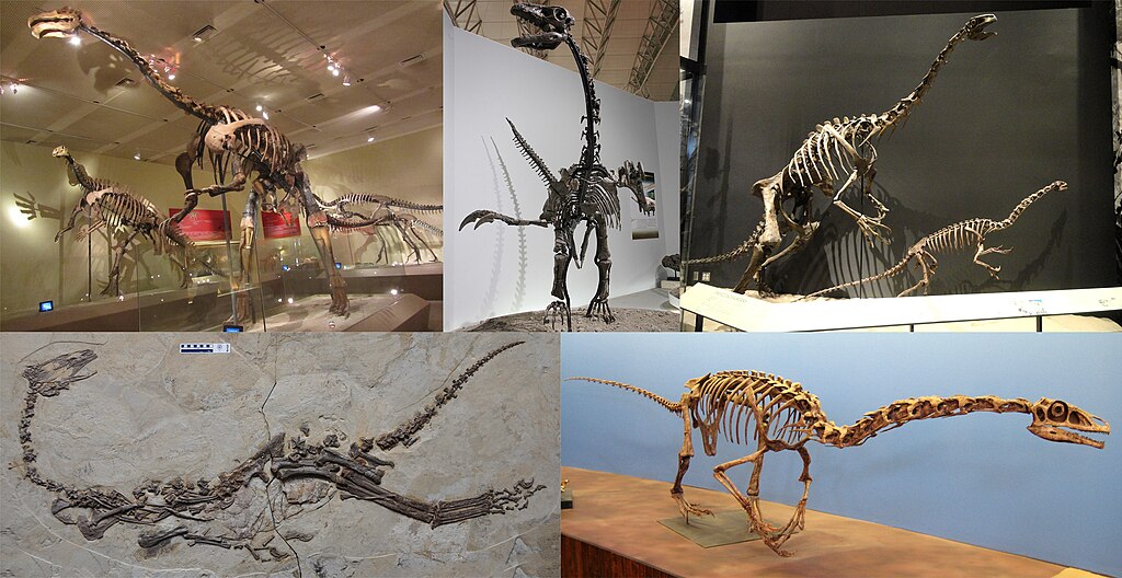 Collage of five therizinosaurs