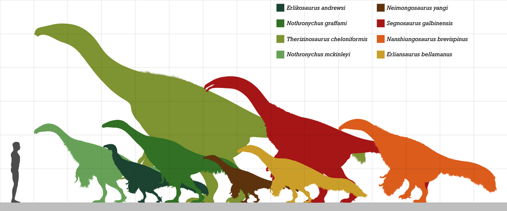 Therizinosauridae size comparison