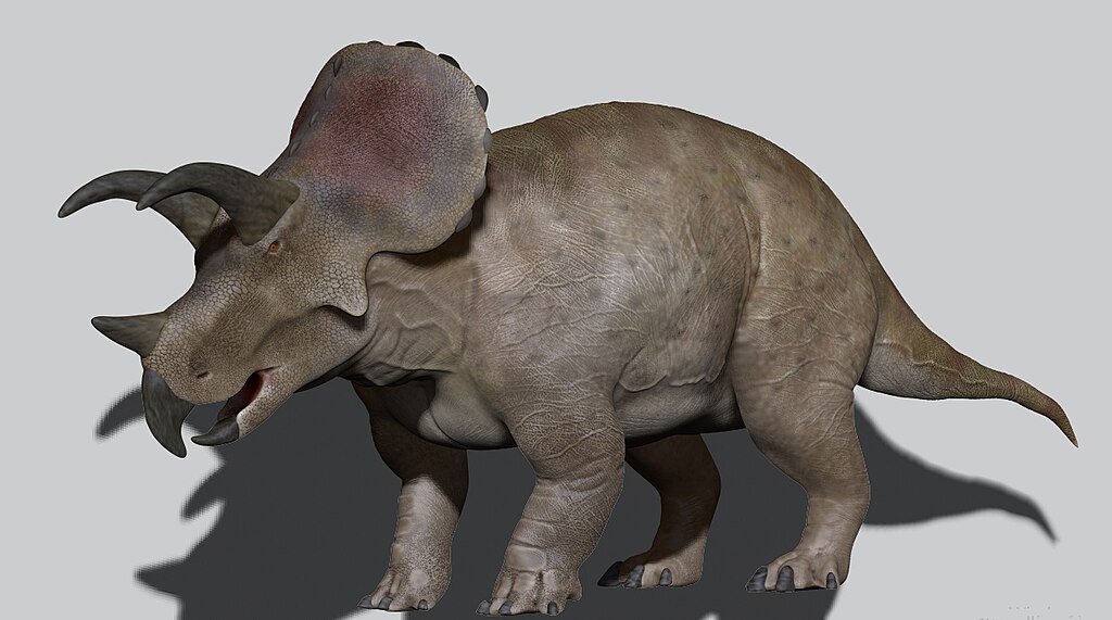 Triceratops prorsus