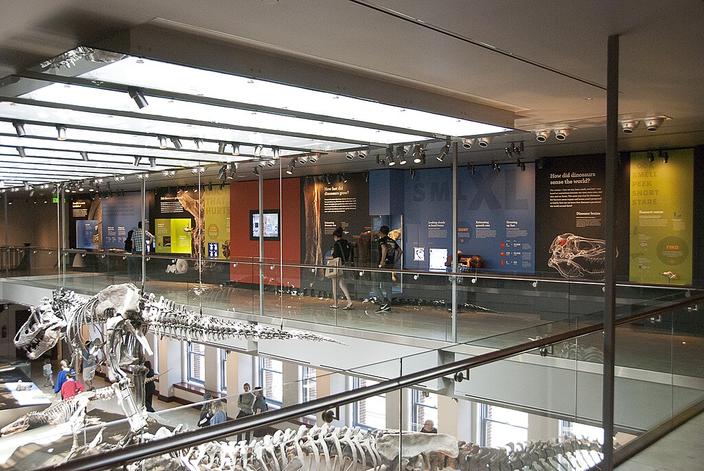 Upper-level museum exhibit featuring dinosaur displays and educational panels in vibrant colors. Skeletons are visible below, creating an engaging atmosphere.