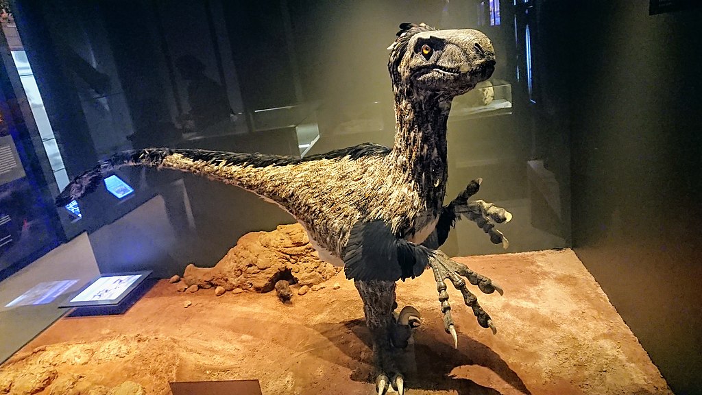 Variraptor mechinorum