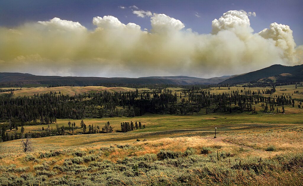 Expansive landscape with rolling grassy hills and scattered trees under a dramatic, cloudy sky. A sense of calm yet ominous weather looms.