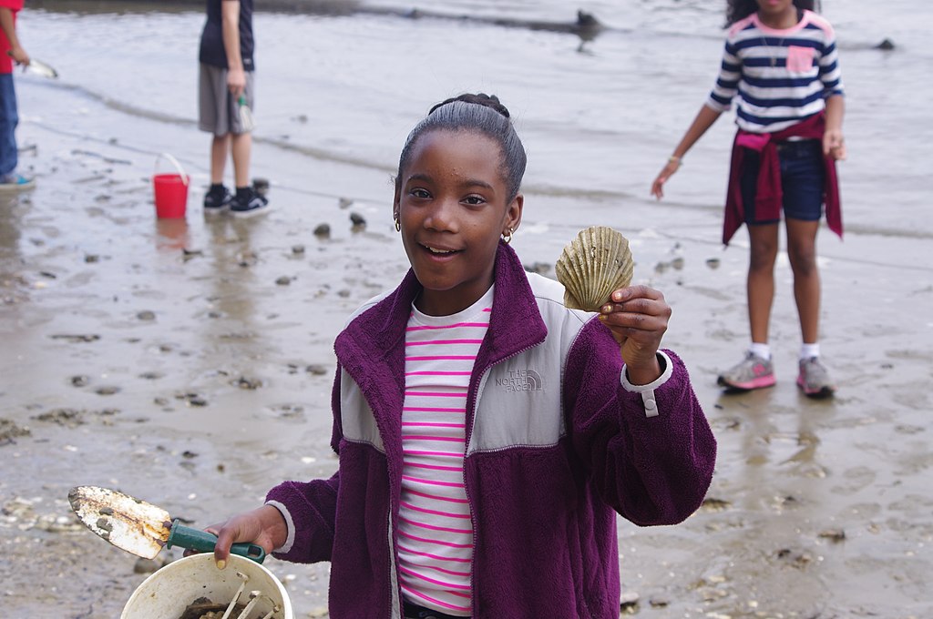 Field Education at York River State Park