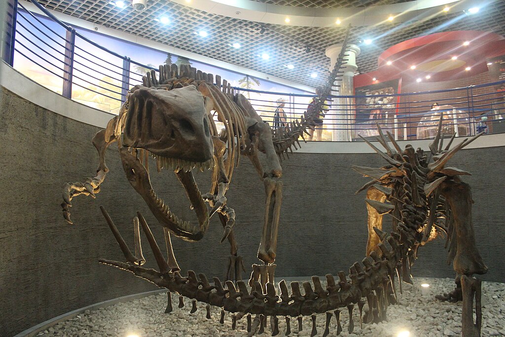 Yangchuanosaurus and Tuojiangosaurus-Beijing Museum of Natural History