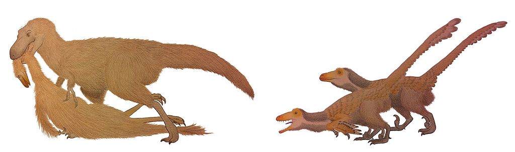 Young T. rex vs Dakotaraptors