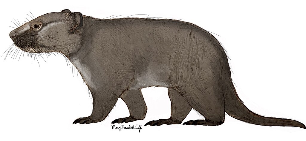 The reconstruction of a taeniolabidoid multituberculate Yubaatar zhongyuanensis