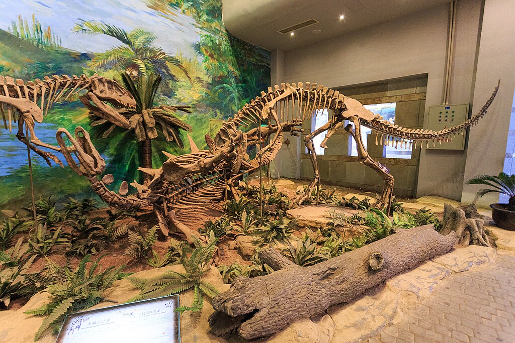 Zigong Dinosaur Museum Tuojiangosaurus Szechuanosaurus