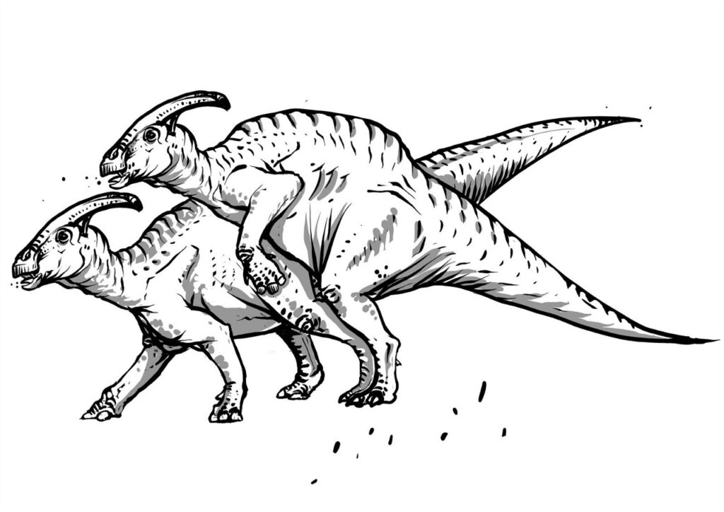 Parasaurolophus sexual selection